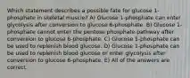 Which statement describes a possible fate for glucose 1-phosphate in skeletal muscle? A) Glucose 1-phosphate can enter glycolysis after conversion to glucose 6-phosphate. B) Glucose 1-phosphate cannot enter the pentose phosphate pathway after conversion to glucose 6-phosphate. C) Glucose 1-phosphate can be used to replenish blood glucose. D) Glucose 1-phosphate can be used to replenish blood glucose or enter glycolysis after conversion to glucose 6-phosphate. E) All of the answers are correct.