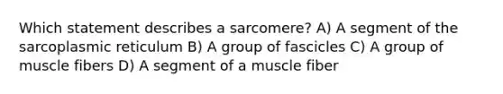 Which statement describes a sarcomere? ​A) A segment of the sarcoplasmic reticulum​ ​B) A group of fascicles ​C) A group of muscle fibers ​D) A segment of a muscle fiber