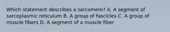 Which statement describes a sarcomere? A. A segment of sarcoplasmic reticulum B. A group of fascicles C. A group of muscle fibers D. A segment of a muscle fiber