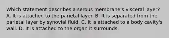 Which statement describes a serous membrane's visceral layer? A. It is attached to the parietal layer. B. It is separated from the parietal layer by synovial fluid. C. It is attached to a body cavity's wall. D. It is attached to the organ it surrounds.