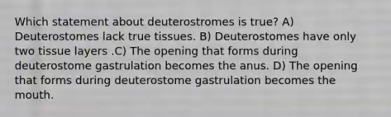 Which statement about deuterostromes is true? A) Deuterostomes lack true tissues. B) Deuterostomes have only two tissue layers .C) The opening that forms during deuterostome gastrulation becomes the anus. D) The opening that forms during deuterostome gastrulation becomes <a href='https://www.questionai.com/knowledge/krBoWYDU6j-the-mouth' class='anchor-knowledge'>the mouth</a>.