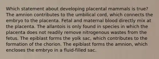 Which statement about developing placental mammals is true? The amnion contributes to the umbilical cord, which connects the embryo to the placenta. Fetal and maternal blood directly mix at the placenta. The allantois is only found in species in which the placenta does not readily remove nitrogenous wastes from the fetus. The epiblast forms the yolk sac, which contributes to the formation of the chorion. The epiblast forms the amnion, which encloses the embryo in a fluid-filled sac.