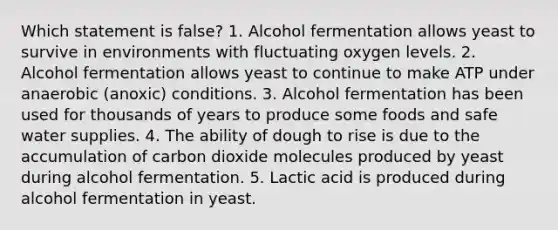 Which statement is false? 1. Alcohol fermentation allows yeast to survive in environments with fluctuating oxygen levels. 2. Alcohol fermentation allows yeast to continue to make ATP under anaerobic (anoxic) conditions. 3. Alcohol fermentation has been used for thousands of years to produce some foods and safe water supplies. 4. The ability of dough to rise is due to the accumulation of carbon dioxide molecules produced by yeast during alcohol fermentation. 5. Lactic acid is produced during alcohol fermentation in yeast.