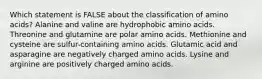 Which statement is FALSE about the classification of amino acids? Alanine and valine are hydrophobic amino acids. Threonine and glutamine are polar amino acids. Methionine and cysteine are sulfur-containing amino acids. Glutamic acid and asparagine are negatively charged amino acids. Lysine and arginine are positively charged amino acids.