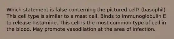 Which statement is false concerning the pictured cell? (basophil) This cell type is similar to a mast cell. Binds to immunoglobulin E to release histamine. This cell is the most common type of cell in the blood. May promote vasodilation at the area of infection.