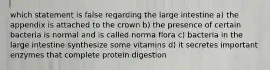 which statement is false regarding the large intestine a) the appendix is attached to the crown b) the presence of certain bacteria is normal and is called norma flora c) bacteria in the large intestine synthesize some vitamins d) it secretes important enzymes that complete protein digestion