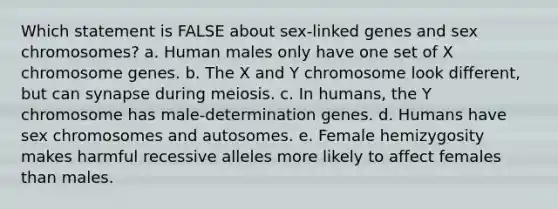 Which statement is FALSE about sex-linked genes and sex chromosomes? a. Human males only have one set of X chromosome genes. b. The X and Y chromosome look different, but can synapse during meiosis. c. In humans, the Y chromosome has male-determination genes. d. Humans have sex chromosomes and autosomes. e. Female hemizygosity makes harmful recessive alleles more likely to affect females than males.