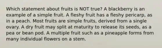 Which statement about fruits is NOT true? A blackberry is an example of a simple fruit. A fleshy fruit has a fleshy pericarp, as in a peach. Most fruits are simple fruits, derived from a single ovary. A dry fruit may split at maturity to release its seeds, as a pea or bean pod. A multiple fruit such as a pineapple forms from many individual flowers on a stem.