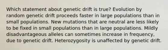 Which statement about genetic drift is true? Evolution by random genetic drift proceeds faster in large populations than in small populations. New mutations that are neutral are less likely to be fixed in small populations than in large populations. Mildly disadvantageous alleles can sometimes increase in frequency, due to genetic drift. Heterozygosity is unaffected by genetic drift.