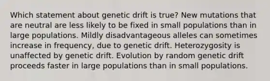 Which statement about genetic drift is true? New mutations that are neutral are less likely to be fixed in small populations than in large populations. Mildly disadvantageous alleles can sometimes increase in frequency, due to genetic drift. Heterozygosity is unaffected by genetic drift. Evolution by random genetic drift proceeds faster in large populations than in small populations.