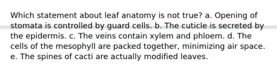 Which statement about leaf anatomy is not true? a. Opening of stomata is controlled by guard cells. b. The cuticle is secreted by the epidermis. c. The veins contain xylem and phloem. d. The cells of the mesophyll are packed together, minimizing air space. e. The spines of cacti are actually modified leaves.