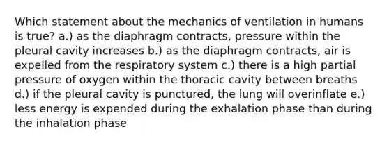 Which statement about the mechanics of ventilation in humans is true? a.) as the diaphragm contracts, pressure within the pleural cavity increases b.) as the diaphragm contracts, air is expelled from the respiratory system c.) there is a high partial pressure of oxygen within the thoracic cavity between breaths d.) if the pleural cavity is punctured, the lung will overinflate e.) less energy is expended during the exhalation phase than during the inhalation phase