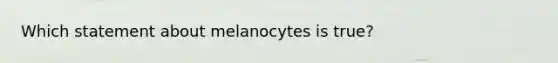 Which statement about melanocytes is true?