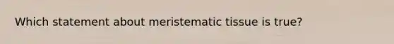 Which statement about meristematic tissue is true?