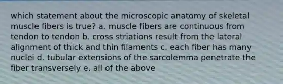 which statement about the microscopic anatomy of skeletal muscle fibers is true? a. muscle fibers are continuous from tendon to tendon b. cross striations result from the lateral alignment of thick and thin filaments c. each fiber has many nuclei d. tubular extensions of the sarcolemma penetrate the fiber transversely e. all of the above