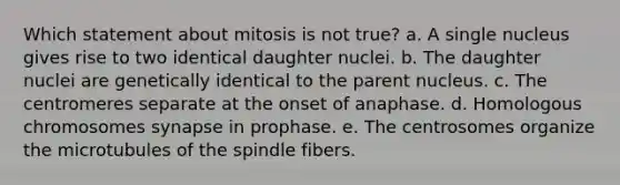 Which statement about mitosis is not true? a. A single nucleus gives rise to two identical daughter nuclei. b. The daughter nuclei are genetically identical to the parent nucleus. c. The centromeres separate at the onset of anaphase. d. Homologous chromosomes synapse in prophase. e. The centrosomes organize the microtubules of the spindle fibers.