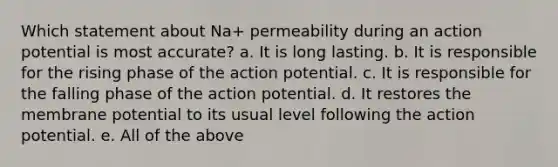 Which statement about Na+ permeability during an action potential is most accurate? a. It is long lasting. b. It is responsible for the rising phase of the action potential. c. It is responsible for the falling phase of the action potential. d. It restores the membrane potential to its usual level following the action potential. e. All of the above