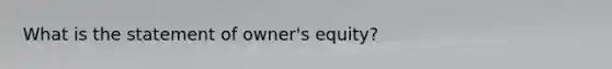 What is the statement of owner's equity?