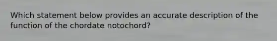 Which statement below provides an accurate description of the function of the chordate notochord?