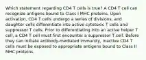 Which statement regarding CD4 T cells is true? A CD4 T cell can recognize antigens bound to Class I MHC proteins. Upon activation, CD4 T cells undergo a series of divisions, and daughter cells differentiate into active cytotoxic T cells and suppressor T cells. Prior to differentiating into an active helper T cell, a CD4 T cell must first encounter a suppressor T cell. Before they can initiate antibody-mediated immunity, inactive CD4 T cells must be exposed to appropriate antigens bound to Class II MHC proteins.