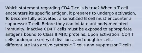 Which statement regarding CD4 T cells is true? When a T cell encounters its specific antigen, it prepares to undergo activation. To become fully activated, a sensitized B cell must encounter a suppressor T cell. Before they can initiate antibody-mediated immunity, inactive CD4 T cells must be exposed to appropriate antigens bound to Class II MHC proteins. Upon activation, CD4 T cells undergo a series of divisions, and daughter cells differentiate into active cytotoxic T cells and suppressor T cells.