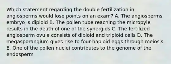 Which statement regarding the double fertilization in angiosperms would lose points on an exam? A. The angiosperms embryo is diploid B. The pollen tube reaching the micropyle results in the death of one of the synergids C. The fertilized angiosperm ovule consists of diploid and triploid cells D. The megasporangium gives rise to four haploid eggs through meiosis E. One of the pollen nuclei contributes to the genome of the endosperm