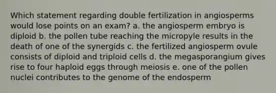 Which statement regarding double fertilization in angiosperms would lose points on an exam? a. the angiosperm embryo is diploid b. the pollen tube reaching the micropyle results in the death of one of the synergids c. the fertilized angiosperm ovule consists of diploid and triploid cells d. the megasporangium gives rise to four haploid eggs through meiosis e. one of the pollen nuclei contributes to the genome of the endosperm