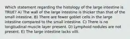 Which statement regarding the histology of the large intestine is TRUE? A) The wall of the large intestine is thicker than that of the small intestine. B) There are fewer goblet cells in the large intestine compared to the small intestine. C) There is no longitudinal muscle layer present. D) Lymphoid nodules are not present. E) The large intestine lacks villi.