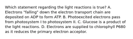 Which statement regarding the light reactions is true? A. Electrons "falling" down the electron transport chain are deposited on ADP to form ATP. B. Photoexcited electrons pass from photosystem I to photosystem II. C. Glucose is a product of the light reactions. D. Electrons are supplied to chlorophyll P680 as it reduces the primary electron acceptor.