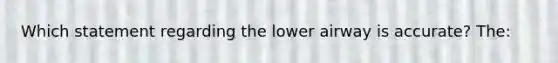 Which statement regarding the lower airway is accurate? The: