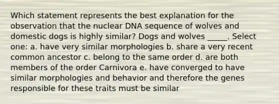 Which statement represents the best explanation for the observation that the nuclear DNA sequence of wolves and domestic dogs is highly similar? Dogs and wolves _____. Select one: a. have very similar morphologies b. share a very recent common ancestor c. belong to the same order d. are both members of the order Carnivora e. have converged to have similar morphologies and behavior and therefore the genes responsible for these traits must be similar