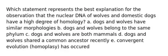 Which statement represents the best explanation for the observation that the nuclear DNA of wolves and domestic dogs have a high degree of homology? a. dogs and wolves have similar morphologies b. dogs and wolves belong to the same phylum c. dogs and wolves are both mammals d. dogs and wolves shared a common ancestor recently e. convergent evolution (homoplasy) has occured