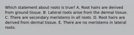 Which statement about roots is true? A. Root hairs are derived from ground tissue. B. Lateral roots arise from the dermal tissue. C. There are secondary meristems in all roots. D. Root hairs are derived from dermal tissue. E. There are no meristems in lateral roots.