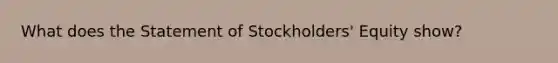 What does the Statement of Stockholders' Equity show?