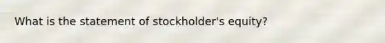 What is the statement of stockholder's equity?