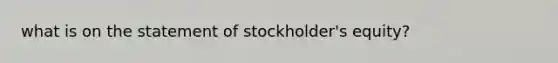 what is on the statement of stockholder's equity?