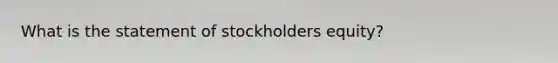 What is the statement of stockholders equity?