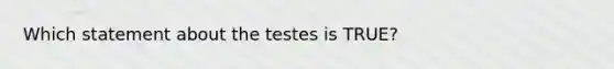 Which statement about the testes is TRUE?