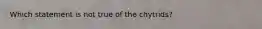 Which statement is not true of the chytrids?