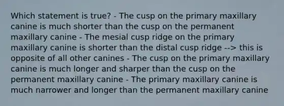 Which statement is true? - The cusp on the primary maxillary canine is much shorter than the cusp on the permanent maxillary canine - The mesial cusp ridge on the primary maxillary canine is shorter than the distal cusp ridge --> this is opposite of all other canines - The cusp on the primary maxillary canine is much longer and sharper than the cusp on the permanent maxillary canine - The primary maxillary canine is much narrower and longer than the permanent maxillary canine