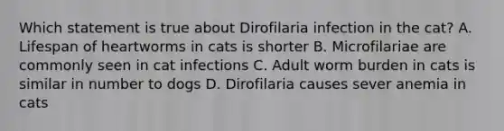 Which statement is true about Dirofilaria infection in the cat? A. Lifespan of heartworms in cats is shorter B. Microfilariae are commonly seen in cat infections C. Adult worm burden in cats is similar in number to dogs D. Dirofilaria causes sever anemia in cats