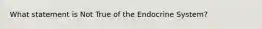 What statement is Not True of the Endocrine System?