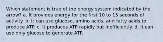 Which statement is true of the energy system indicated by the arrow? a. It provides energy for the first 10 to 15 seconds of activity. b. It can use glucose, <a href='https://www.questionai.com/knowledge/k9gb720LCl-amino-acids' class='anchor-knowledge'>amino acids</a>, and fatty acids to produce ATP. c. It produces ATP rapidly but inefficiently. d. It can use only glucose to generate ATP.