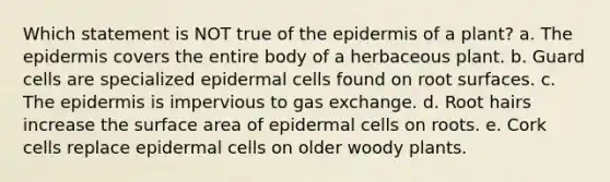 Which statement is NOT true of the epidermis of a plant? a. The epidermis covers the entire body of a herbaceous plant. b. Guard cells are specialized epidermal cells found on root surfaces. c. The epidermis is impervious to gas exchange. d. Root hairs increase the surface area of epidermal cells on roots. e. Cork cells replace epidermal cells on older woody plants.