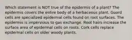 Which statement is NOT true of the epidermis of a plant? The epidermis covers the entire body of a herbaceous plant. Guard cells are specialized epidermal cells found on root surfaces. The epidermis is impervious to gas exchange. Root hairs increase the surface area of epidermal cells on roots. Cork cells replace epidermal cells on older woody plants.