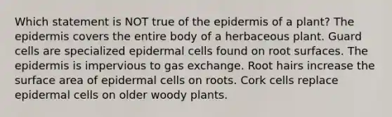 Which statement is NOT true of <a href='https://www.questionai.com/knowledge/kBFgQMpq6s-the-epidermis' class='anchor-knowledge'>the epidermis</a> of a plant? The epidermis covers the entire body of a herbaceous plant. Guard cells are specialized epidermal cells found on root surfaces. The epidermis is impervious to <a href='https://www.questionai.com/knowledge/kU8LNOksTA-gas-exchange' class='anchor-knowledge'>gas exchange</a>. Root hairs increase the surface area of epidermal cells on roots. Cork cells replace epidermal cells on older woody plants.