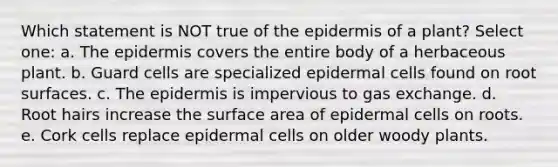 Which statement is NOT true of the epidermis of a plant? Select one: a. The epidermis covers the entire body of a herbaceous plant. b. Guard cells are specialized epidermal cells found on root surfaces. c. The epidermis is impervious to gas exchange. d. Root hairs increase the surface area of epidermal cells on roots. e. Cork cells replace epidermal cells on older woody plants.