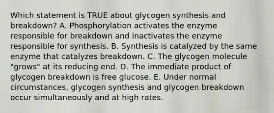 Which statement is TRUE about glycogen synthesis and breakdown? A. Phosphorylation activates the enzyme responsible for breakdown and inactivates the enzyme responsible for synthesis. B. Synthesis is catalyzed by the same enzyme that catalyzes breakdown. C. The glycogen molecule "grows" at its reducing end. D. The immediate product of glycogen breakdown is free glucose. E. Under normal circumstances, glycogen synthesis and glycogen breakdown occur simultaneously and at high rates.