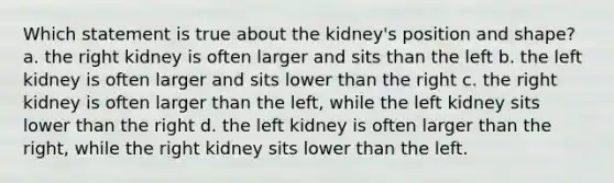 Which statement is true about the kidney's position and shape? a. the right kidney is often larger and sits than the left b. the left kidney is often larger and sits lower than the right c. the right kidney is often larger than the left, while the left kidney sits lower than the right d. the left kidney is often larger than the right, while the right kidney sits lower than the left.