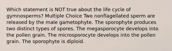 Which statement is NOT true about the life cycle of gymnosperms? Multiple Choice Two nonflagellated sperm are released by the male gametophyte. The sporophyte produces two distinct types of spores. The megasporocyte develops into the pollen grain. The microsporocyte develops into the pollen grain. The sporophyte is diploid.